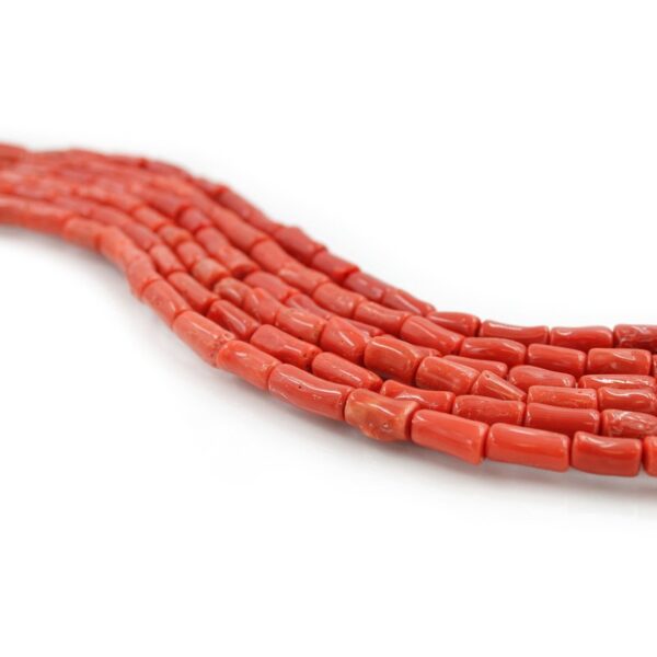 Mediterranean Coral strands cylindrical shape