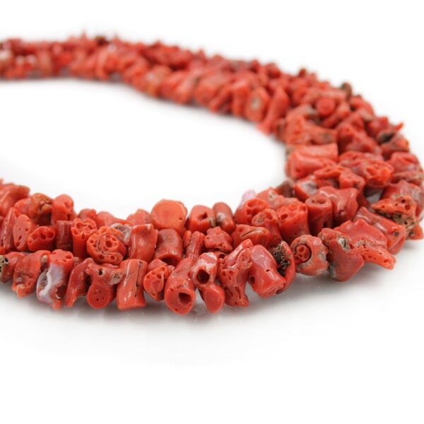 Mediterranean Coral gradation strands stone raw shape