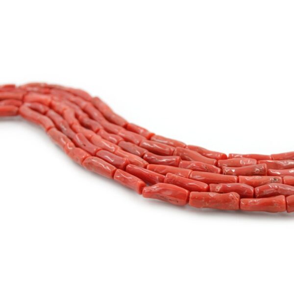 Mediterranean Coral strands cylindrical shape