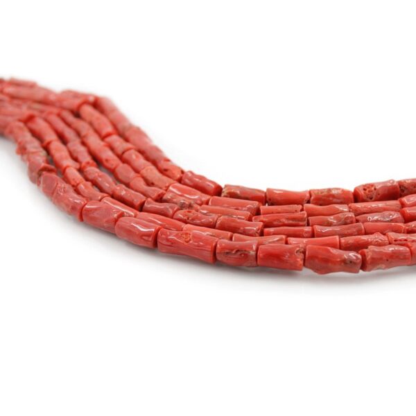 Mediterranean Coral equel and gradation strands cylindrical shape
