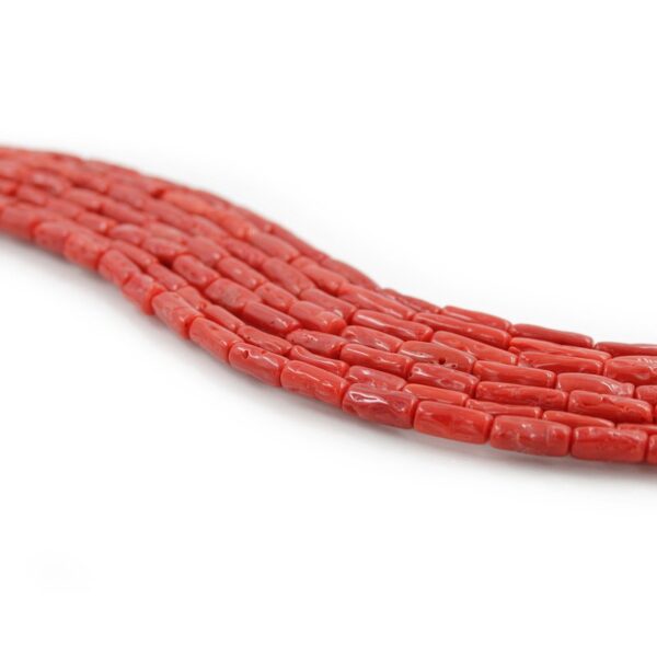 Mediterranean Coral strands cylindrical shape