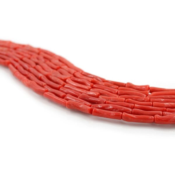 Mediterranean Coral strands irregular cylindrical shape