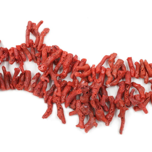 Mediterranean Coral strands branch shape