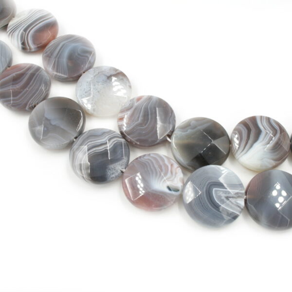 Botswana Agate strands faceted coin shape size 30mm