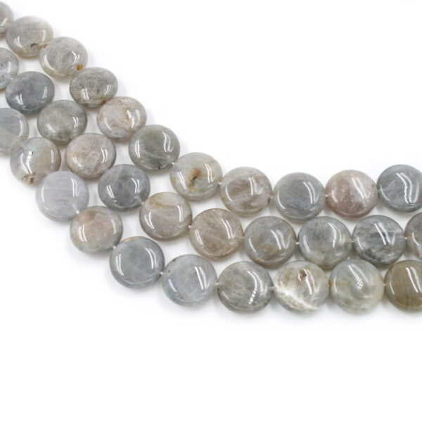 Labradorite strands coin shape size 15mm