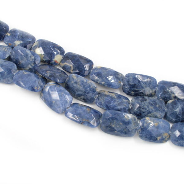 sodalite fili rettangoli sfaccettati 30x20x8mm