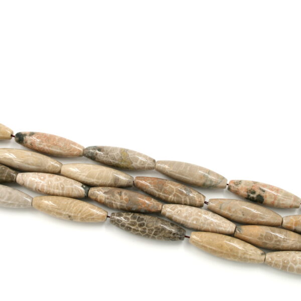 corallo fossile fili olive 40x12mm