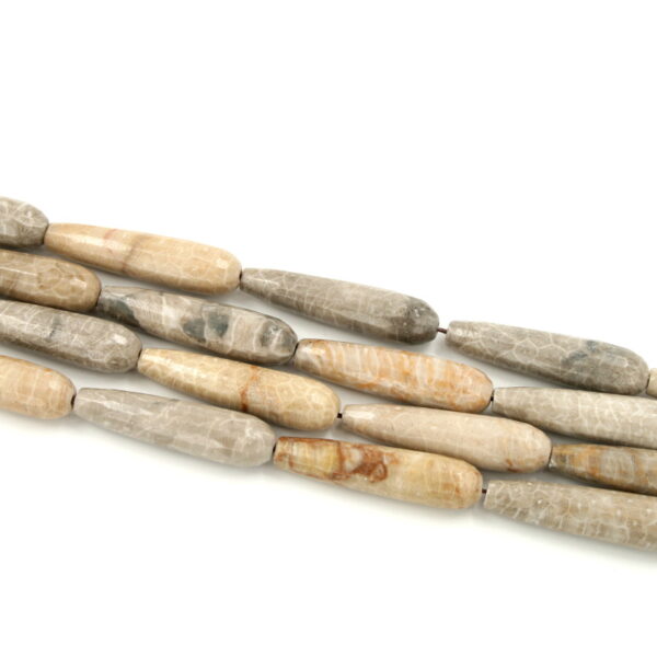 corallo fossile fili drop sfaccettati 40x10mm