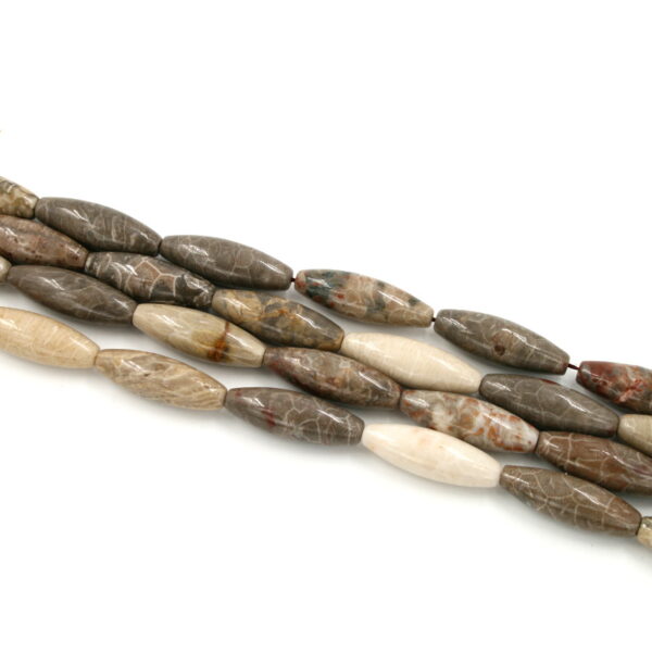 corallo fossile fili olive 30x10mm