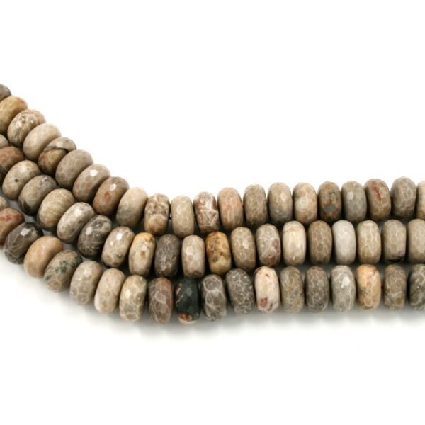 corallo fossile fili rondelle sfaccettate 18x10mm
