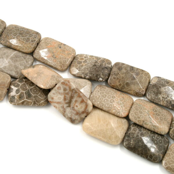 corallo fossile fili rettangoli sfaccettati 35x25m