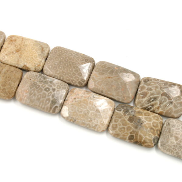 corallo fossile fili rettangoli sfaccettati 40x30m