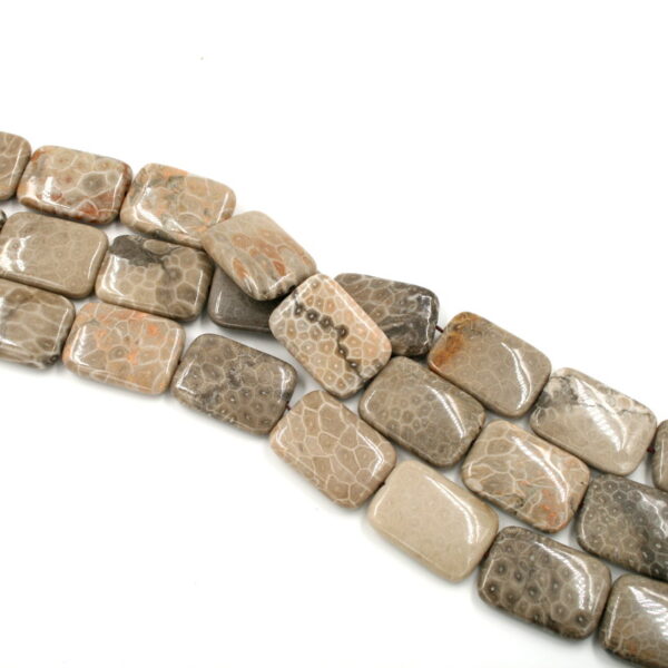 corallo fossile fili rettangoli 35x25mm
