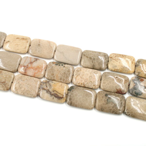 corallo fossile fili rettangoli 40x30mm