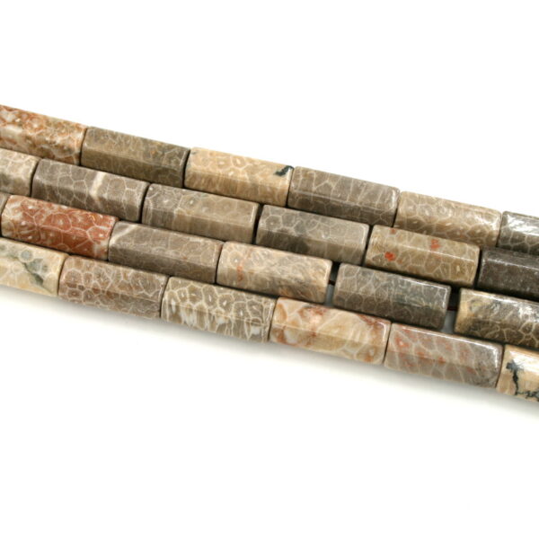 corallo fossile fili cilindri esagonali 30x12mm