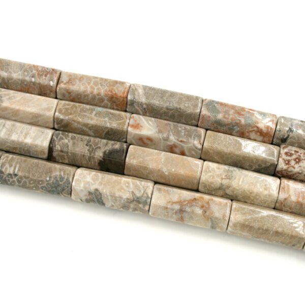 corallo fossile fili cilindri esagonali 40x16mm