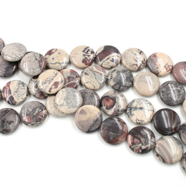 Porcelain Jasper strands flat coin shape size 25mm