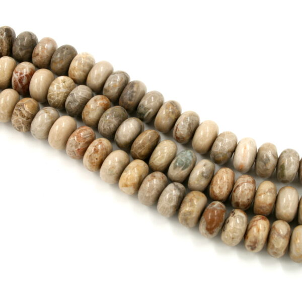 Corallo fossile fili rondelle 18x10mm