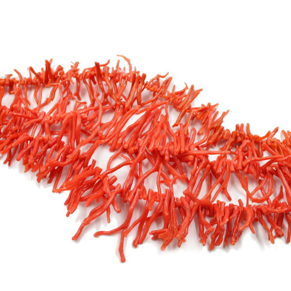 Mediterranean Coral strands branch shape