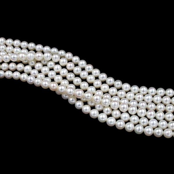 Perle d'acqua Dolce fili round 6-6½mm