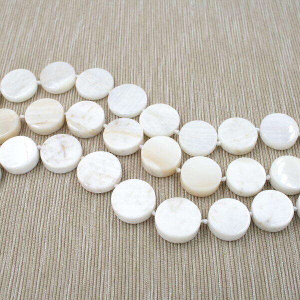 White Shell Fossile fili monete 20mm