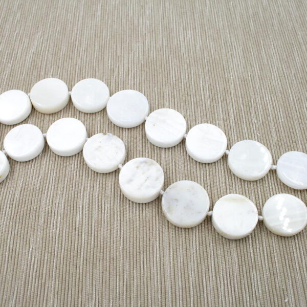 White Shell Fossile fili monete 22mm