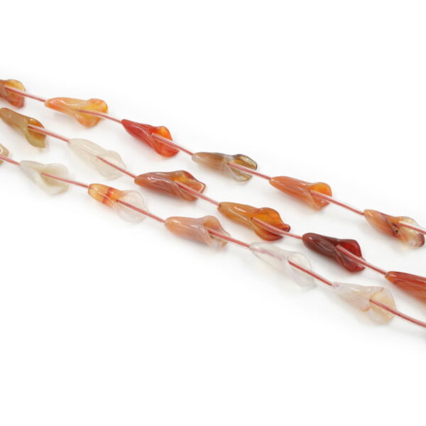 Red Agate strands tulip shape size 22/26x10mm - Multicolor