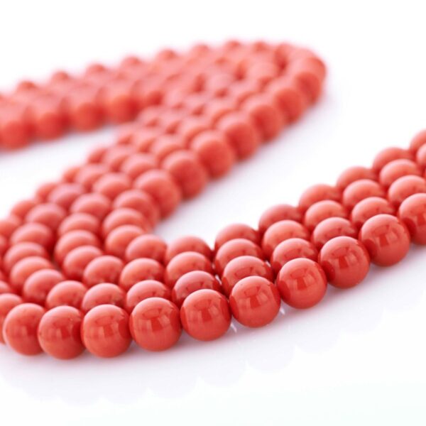 Corallo
