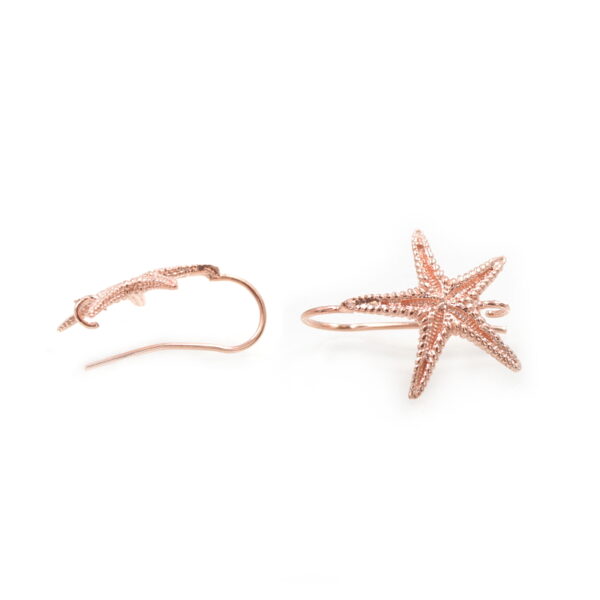 Sterling silver earrings marine star shape size 22mm – with Hook