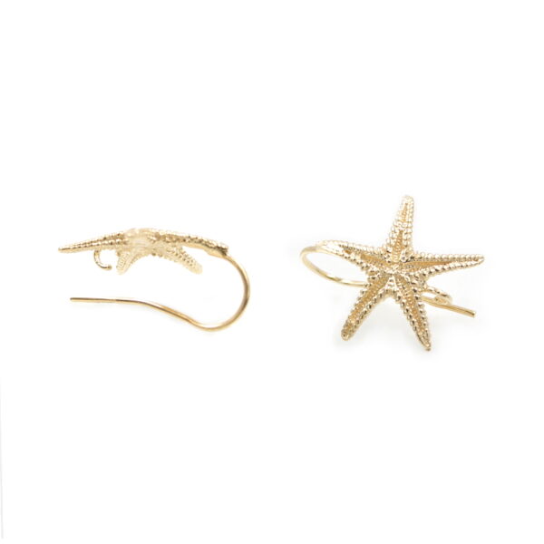 Orecchini argento stella marina 22mm con gancio – Dorati