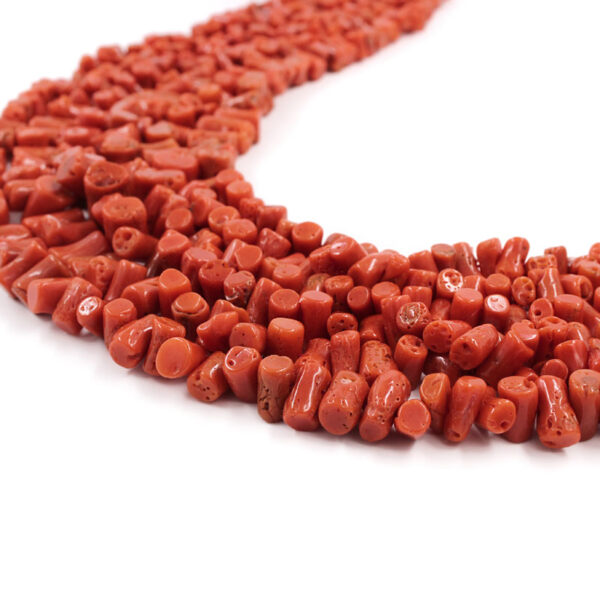 Mediterranean Coral strands gradation cupolini shape size from ~6x4mm to ~12x8mm