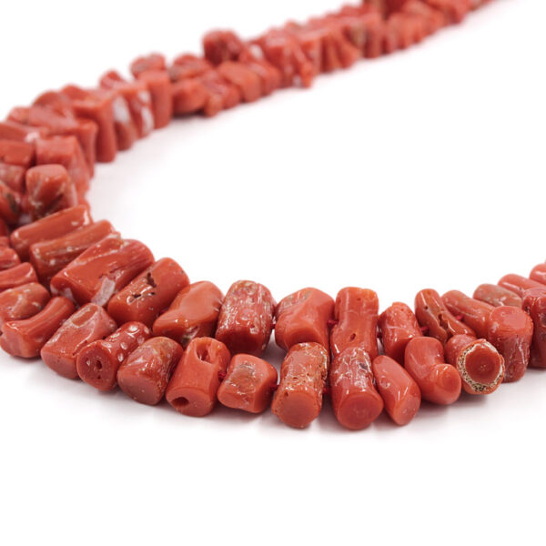 Mediterranean Coral strands gradation cupolini shape size from ~8x5mm to ~14x9mm