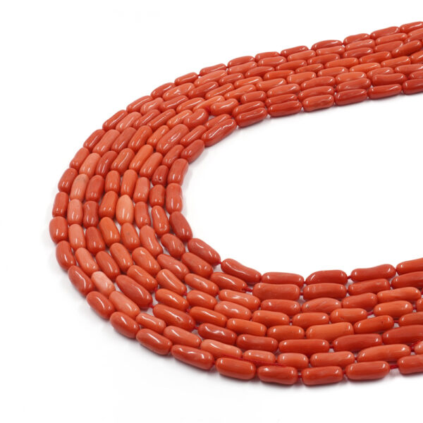 Mediterranean Coral strands cylindrical shape size
