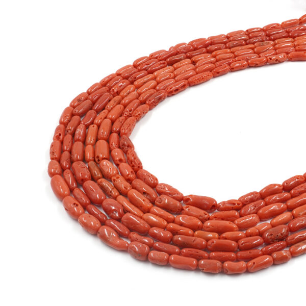Mediterranean Coral strands cylindrical shape size