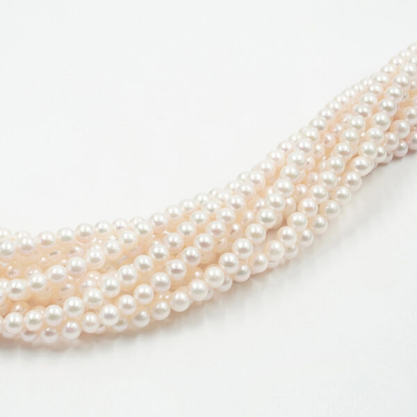 Perle d'acqua Dolce fili round 6-6½mm