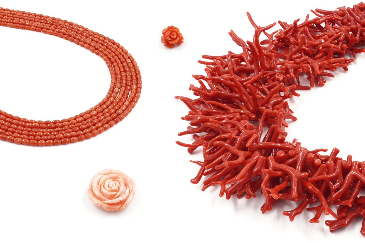 Corallo vendita all’ingrosso