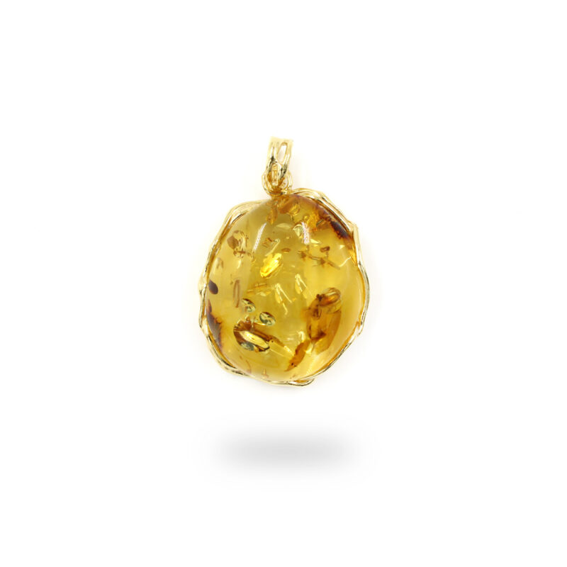 Amber pendant: a piece of precious past