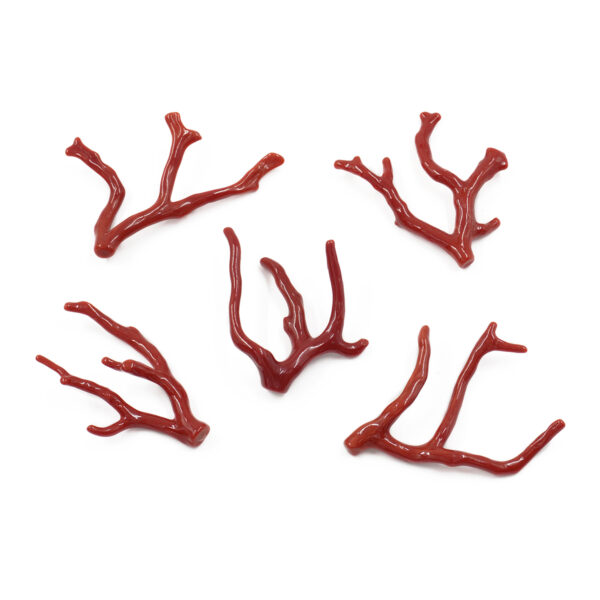 Mediterranean Coral loose branch shape from 5,00gr to 6,90gr – Dark Color