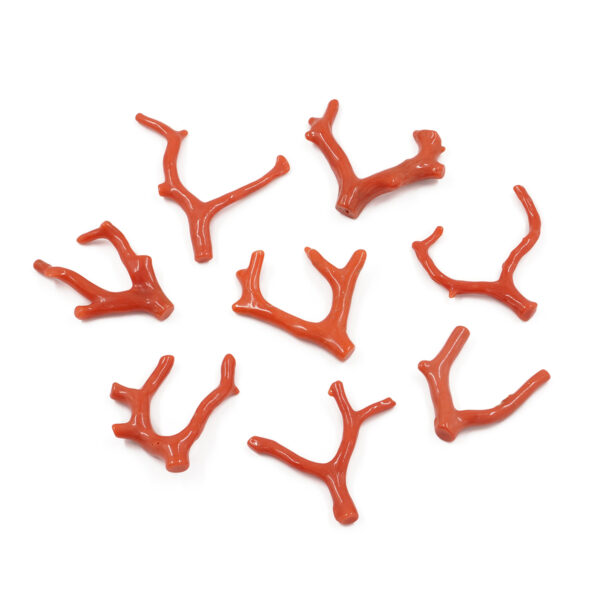 Mediterranean Coral loose branch shape from 2,60gr to 3,90gr – <strong>Second Quality</strong>