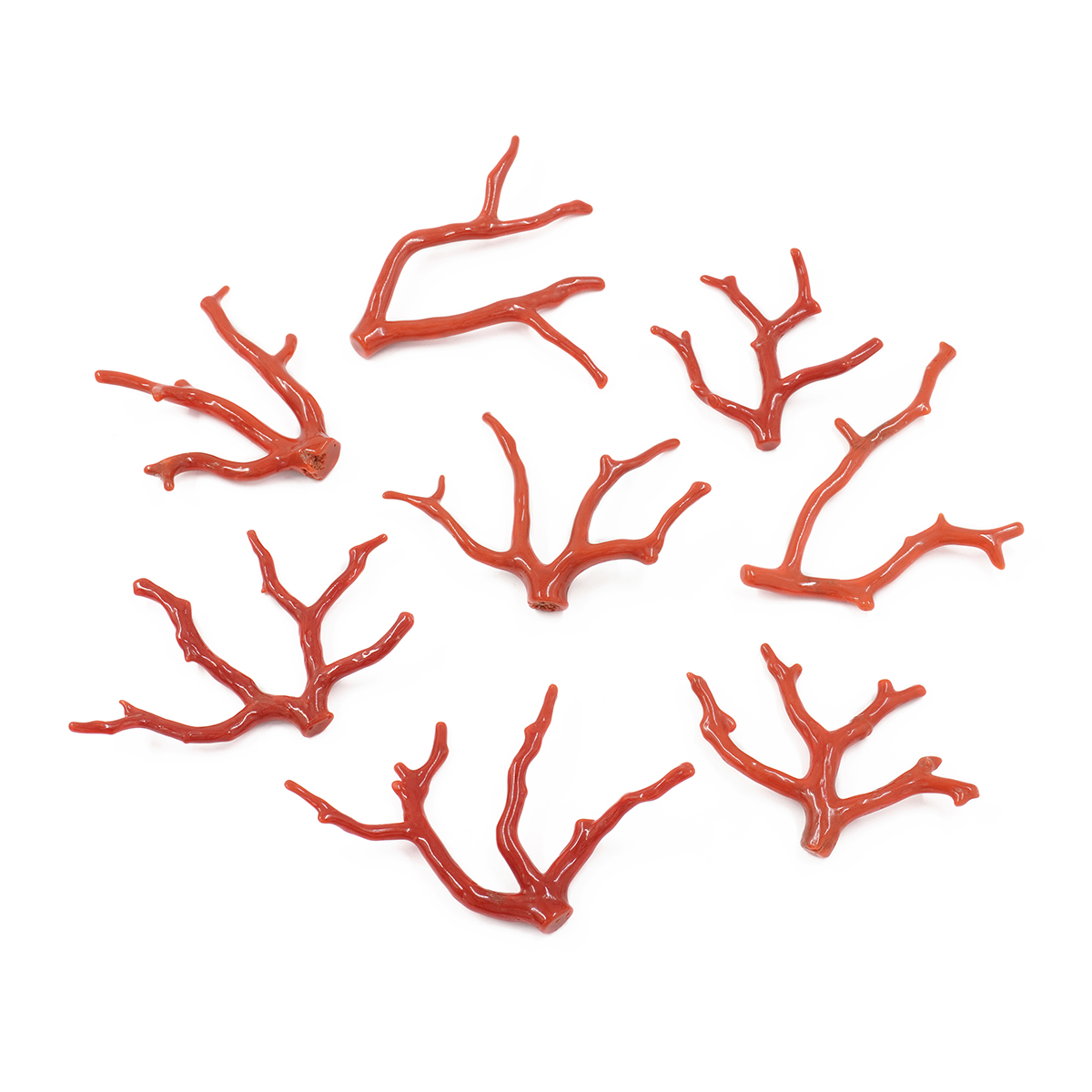 Mediterranean Coral loose branch shape from 4,00gr to 6,50gr – <strong>Second Quality</strong>
