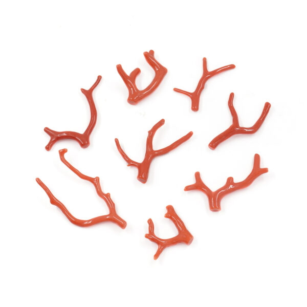 Mediterranean Coral loose branch shape from 1,00gr to 2,50gr