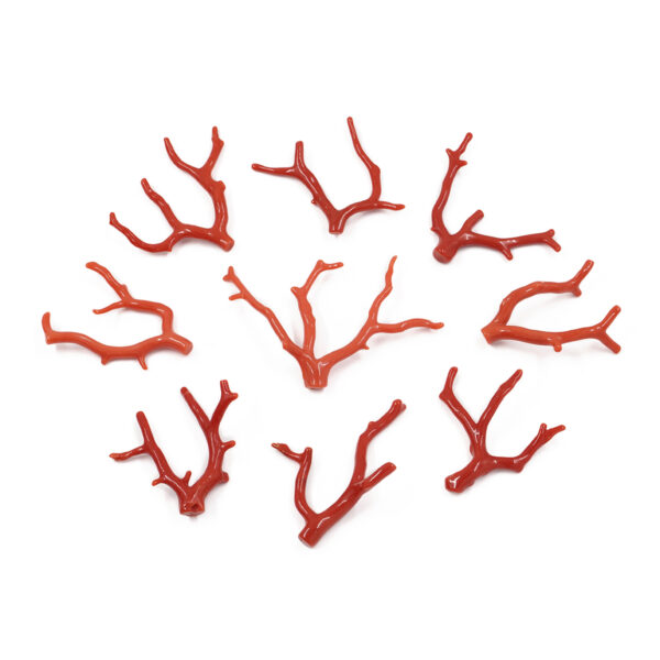 Mediterranean Coral loose branch shape from 4,00gr to 6,50gr
