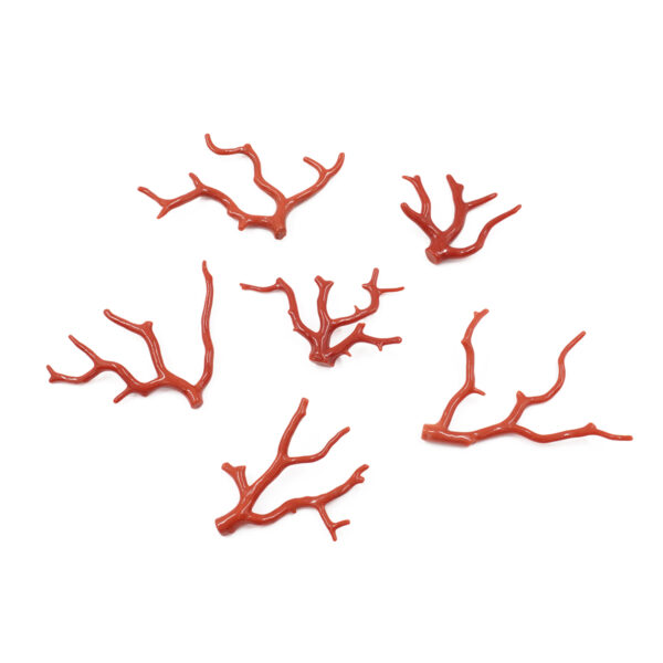 Mediterranean Coral loose branch shape from 10,10gr to 15,00gr