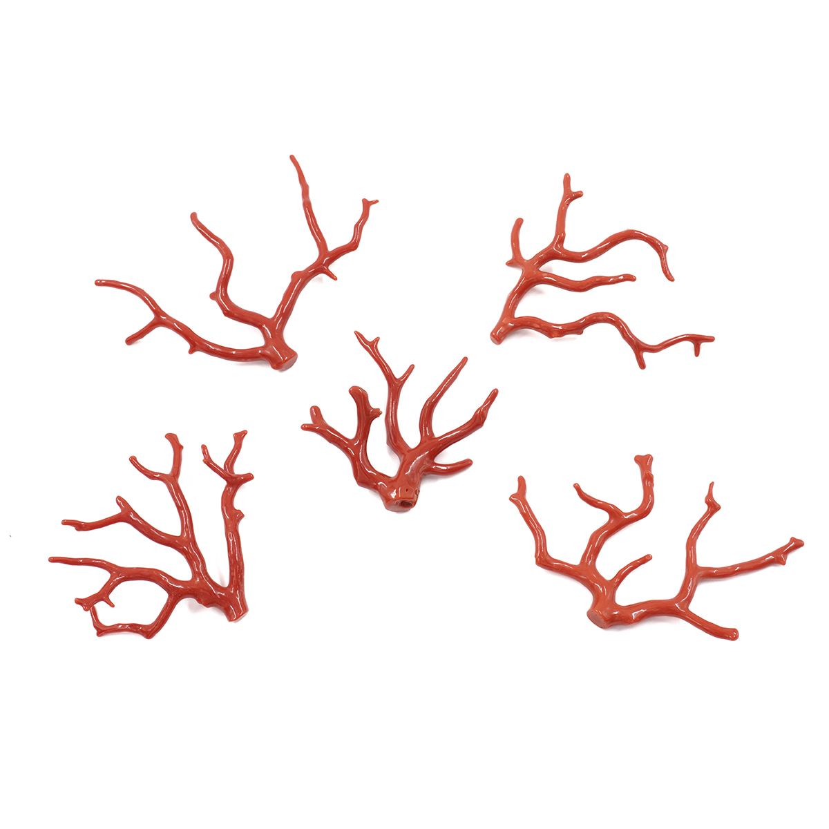 Mediterranean Coral loose branch shape from 15,10gr to 20,00gr