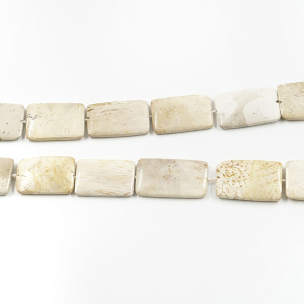 Palm Jasper strands rectangular shape size ~38x25mm