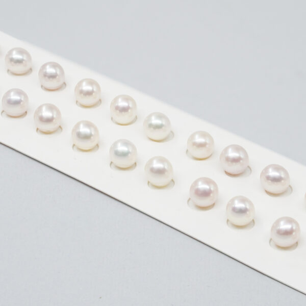 Fresh Water Pearls pairs round shape size 6-6½mm