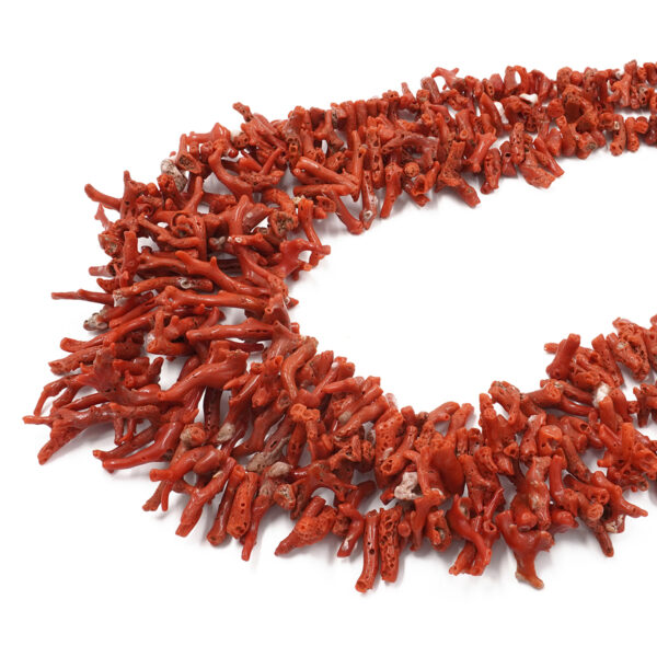 Mediterranean coral strands raw branch shape