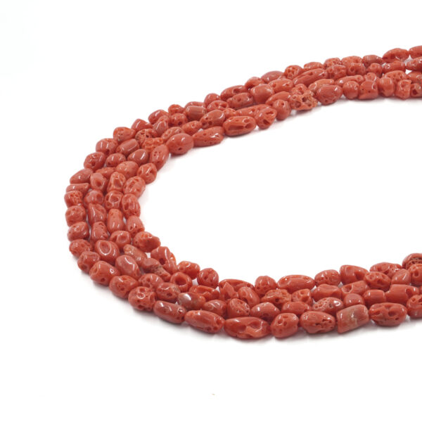 Mediterranean coral strands gradation tumbles shape