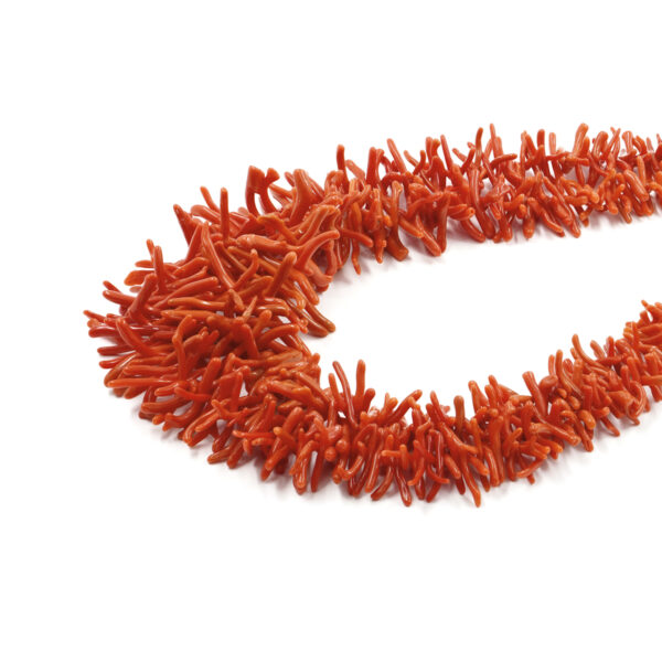 Mediterranean coral strands cupolini shape – First Quality
