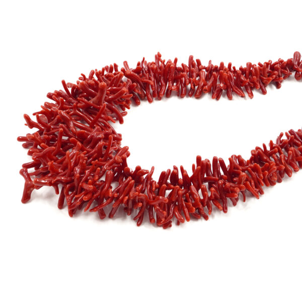 Mediterranean coral strands cupolini shape – First Quality